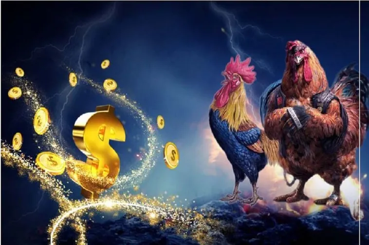 Làm Chủ Đá Gà WS168 Tại EE88 Với Hướng Dẫn Chi Tiết Thắng Lớn