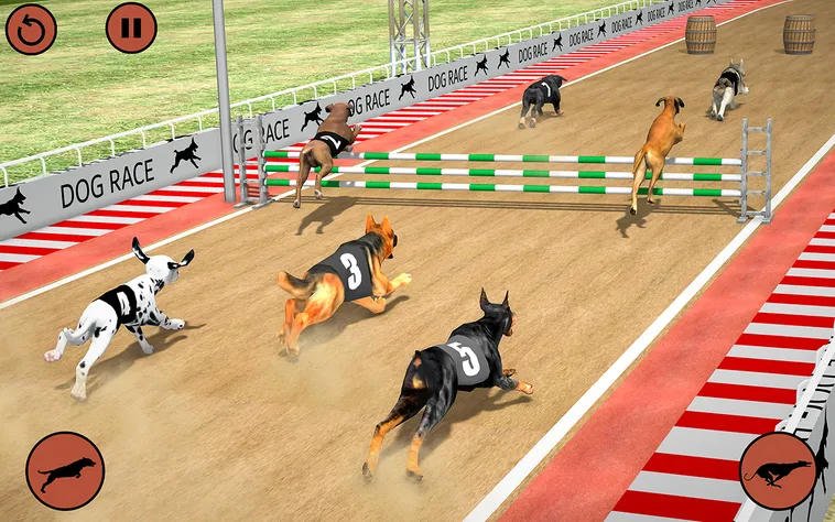 Hướng Dẫn Chơi Game Nhanh Đua Chó Tại EE88 Thắng Lớn Nhanh