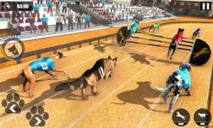Hướng Dẫn Chơi Game Nhanh Đua Chó Tại EE88 Thắng Lớn Nhanh
